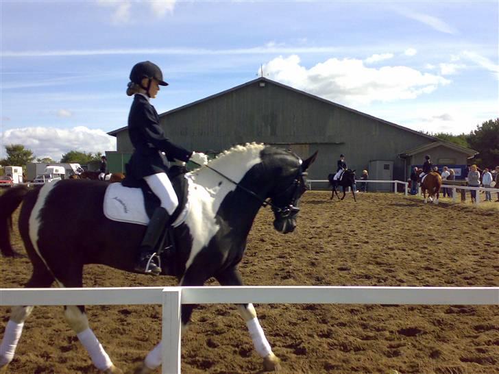 Pinto Armarnie <33 - Til Nibe Cup 2008 i finalen billede 17