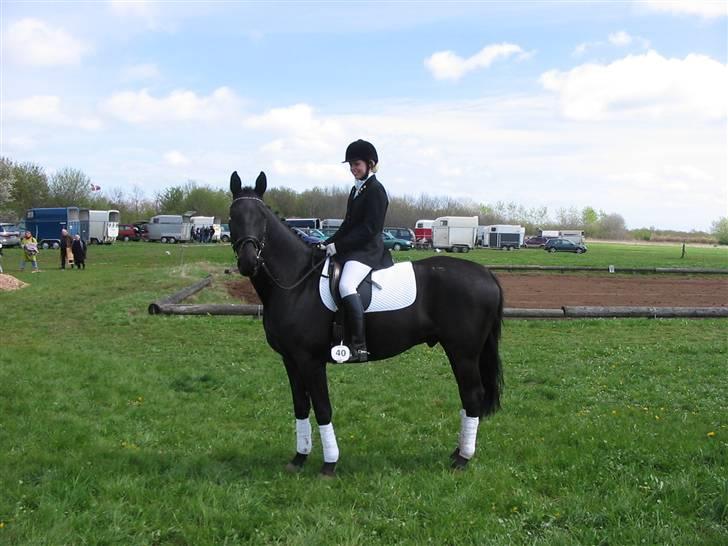 Oldenborg Pikeur - Har lige redet program i Bolderslev billede 7