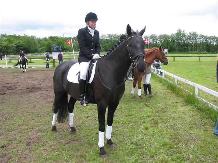 Oldenborg Pikeur - Til stævne i Løgumkloster billede 9