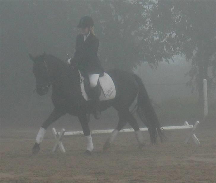 New Forest Åbakkens Mayfield SOLGT - Første stævne og det var vildt tåget. oktober 07 billede 20