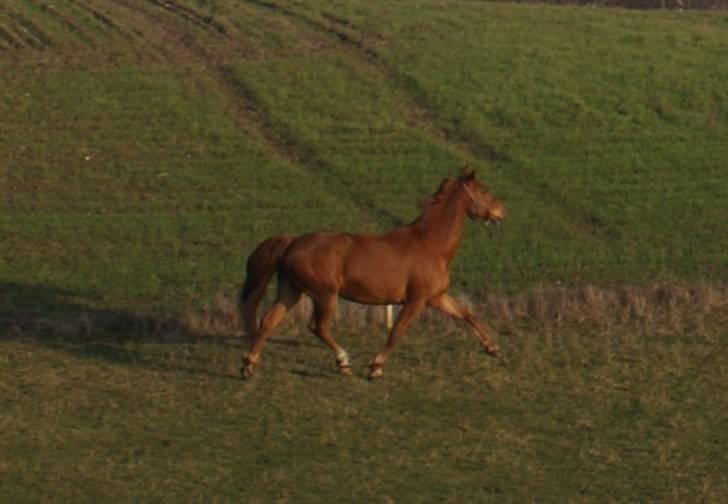Frederiksborg radon billede 2