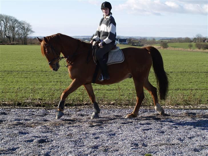 Frederiksborg radon billede 15