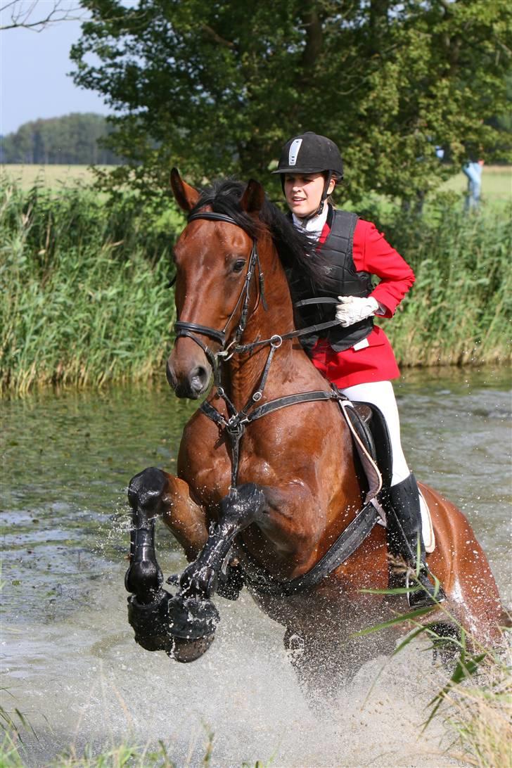 Oldenborg Classic Carismo - 1 # Velkommen til Classic Carismo´s profil :) På billedet: Vores anden jagt nogensinde, som var jagten i Knuthenborg i efteråret 2008. Her er vi på vej op ad vandet, drengen var skøn!  Savner ham ! :´( billede 1