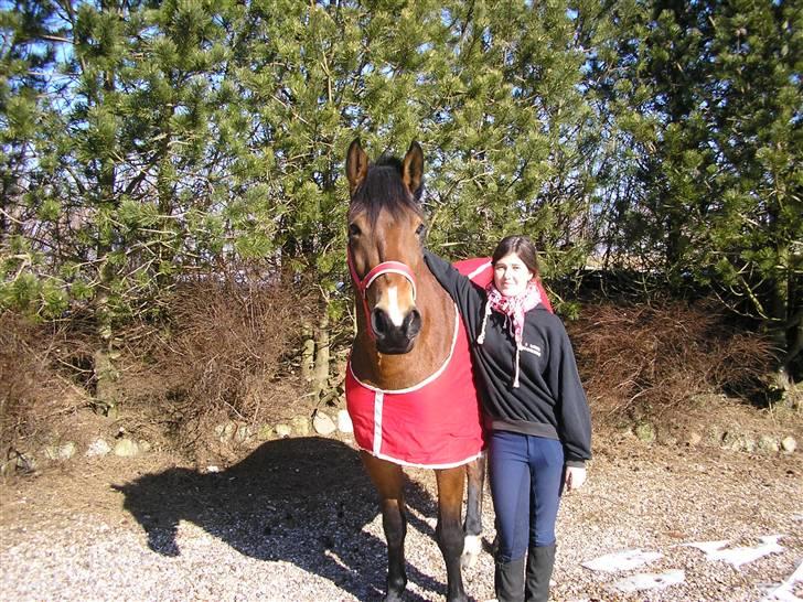 Anden særlig race luffi billede 1