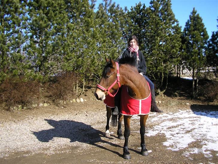 Anden særlig race luffi billede 2