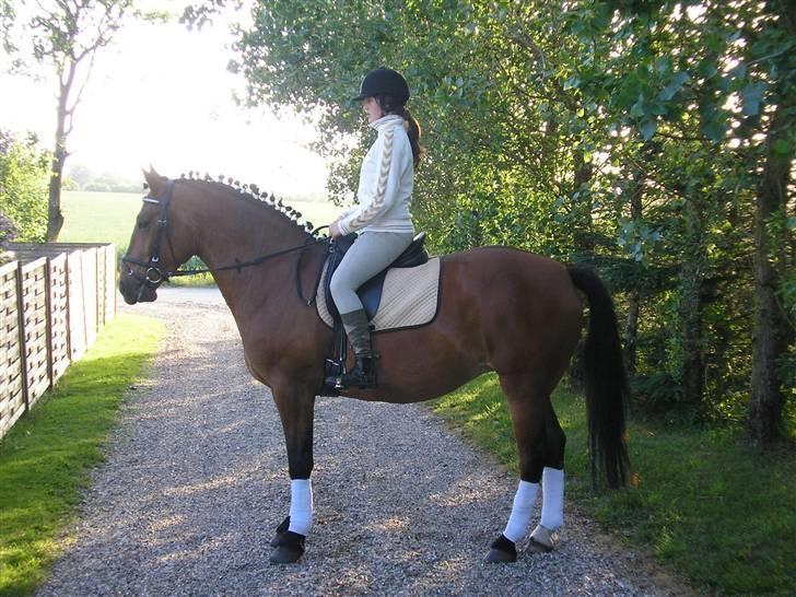 Anden særlig race luffi billede 8