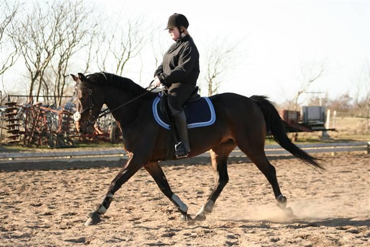 Anden særlig race Monty <3  - Ailien Monty :b <3    ....-Fotograf * Louise Ottosen billede 19