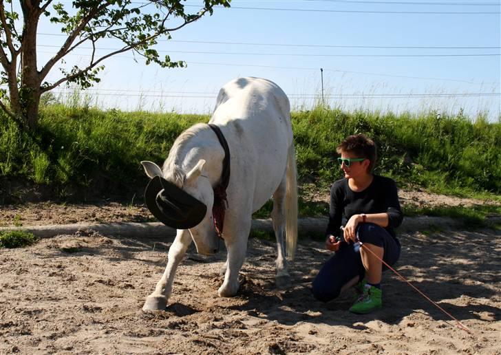 Cruzado Chico - REST IN PEACE MY ANGEL :'( <3 - 20. „Livet handler ikke om at finde en man kan leve med, men at finde en man ikke kan leve uden.“
d. 17.juni.09 billede 12