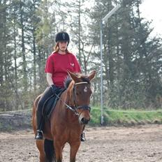 Traver Hera Waltz (SOLGT)