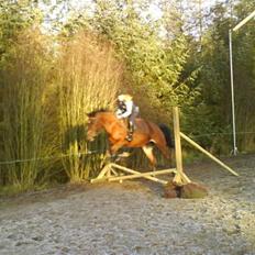 Traver Hera Waltz (SOLGT)