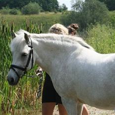 Anden særlig race Cloe :'( Min engel! R.I.P