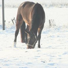 Traver Vic McGuire 25/6-2014