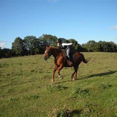 Frederiksborg Signe Lysdal