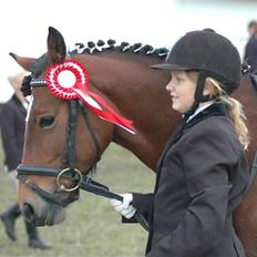 Anden særlig race Roxanne (solgt)