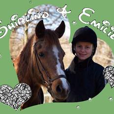 DSP Shirlind - R.I.P.