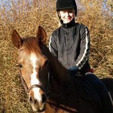 DSP Shirlind - R.I.P.