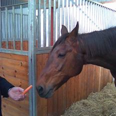 Traver Unna *Aflivet* :'(