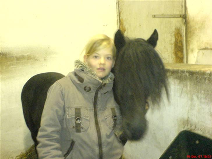 Dartmoor fjuri<3<3 solgt og savnet billede 19