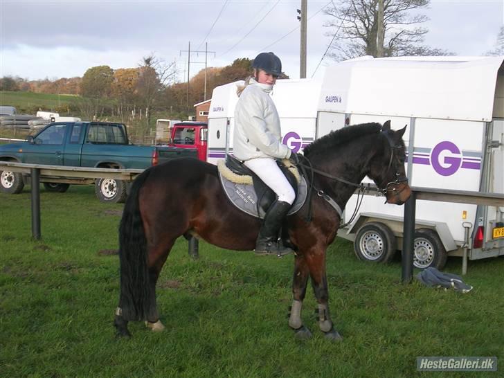 Anden særlig race kirstinelunds charmeur - det er til et stævne med charmeur&louisa (gamle ejer). de var ét sammen. virkelig.  billede 7