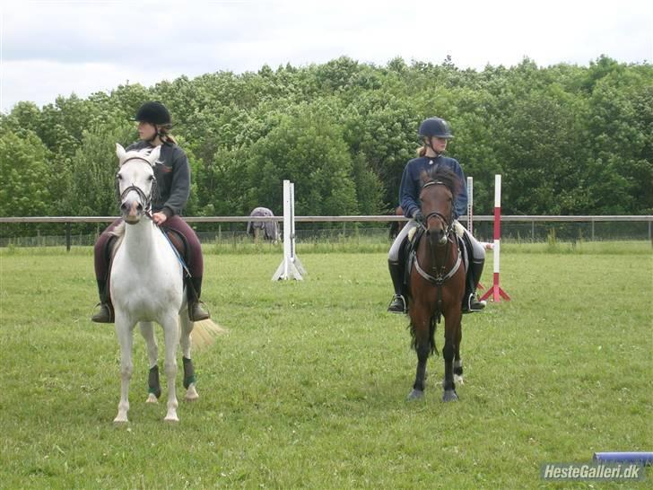 Anden særlig race kirstinelunds charmeur - den lille brune pony er charmeur -og hende der sidder på ham -er louisa (-gamle ejr). &den anden hest er en som jeg ikke lige kan huske hvad hedder -men ejeren hedder hester :D ( søsters bedsteveninde) det skal så siges at det her billede er gammelt. billede 8