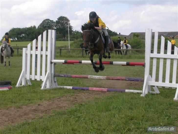 Anden særlig race kirstinelunds charmeur - dejligt billede (: han er altid så fototgen :D. jeg elsker dig min lille charme. du er så meget af mig. virkelig. billede 16