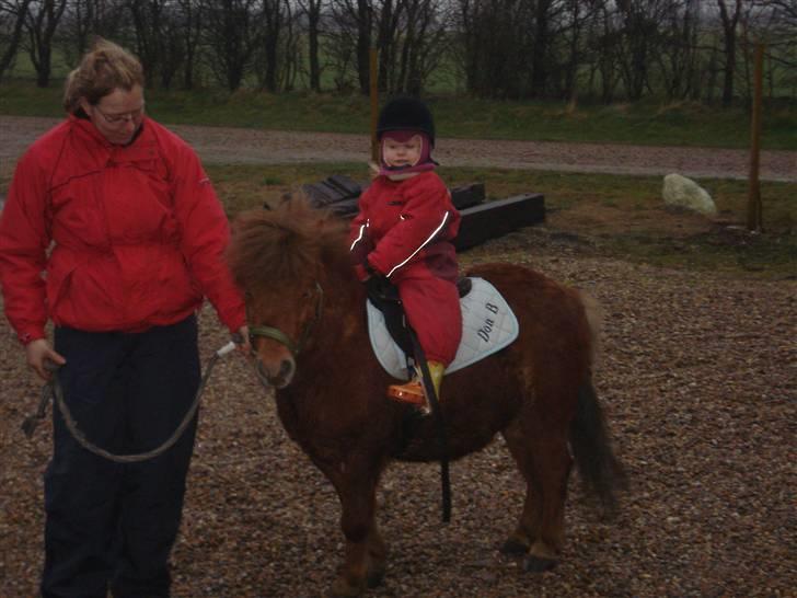 Shetlænder Don B - Mig og  Lykke min vidunderlige "pap" datter billede 4