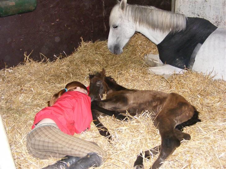 Anden særlig race Surprise *SOLGT* - vi sover alle sammen.  billede 4