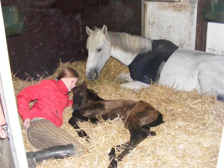 Anden særlig race Surprise *SOLGT* - så sover vi alle sammen.. <3 xD billede 7