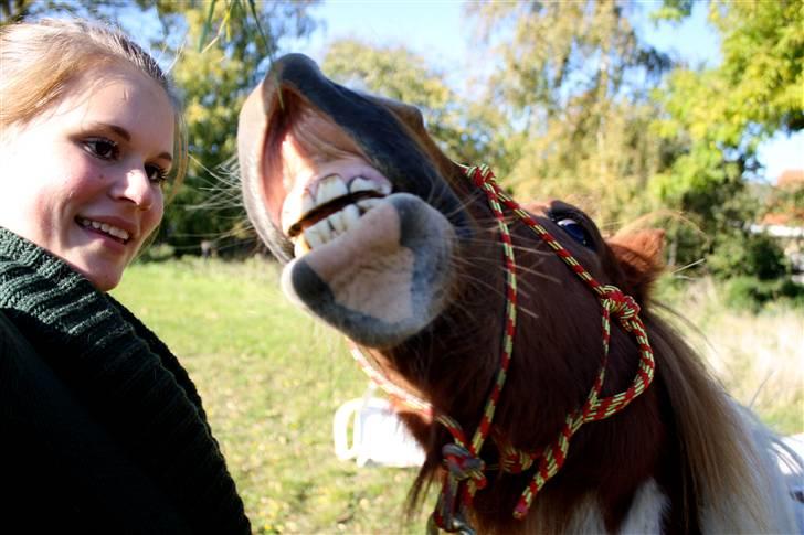 Pinto BRYTINGS BALOO - "You are my daily smile" <3 Foto: Lykke <3 billede 6