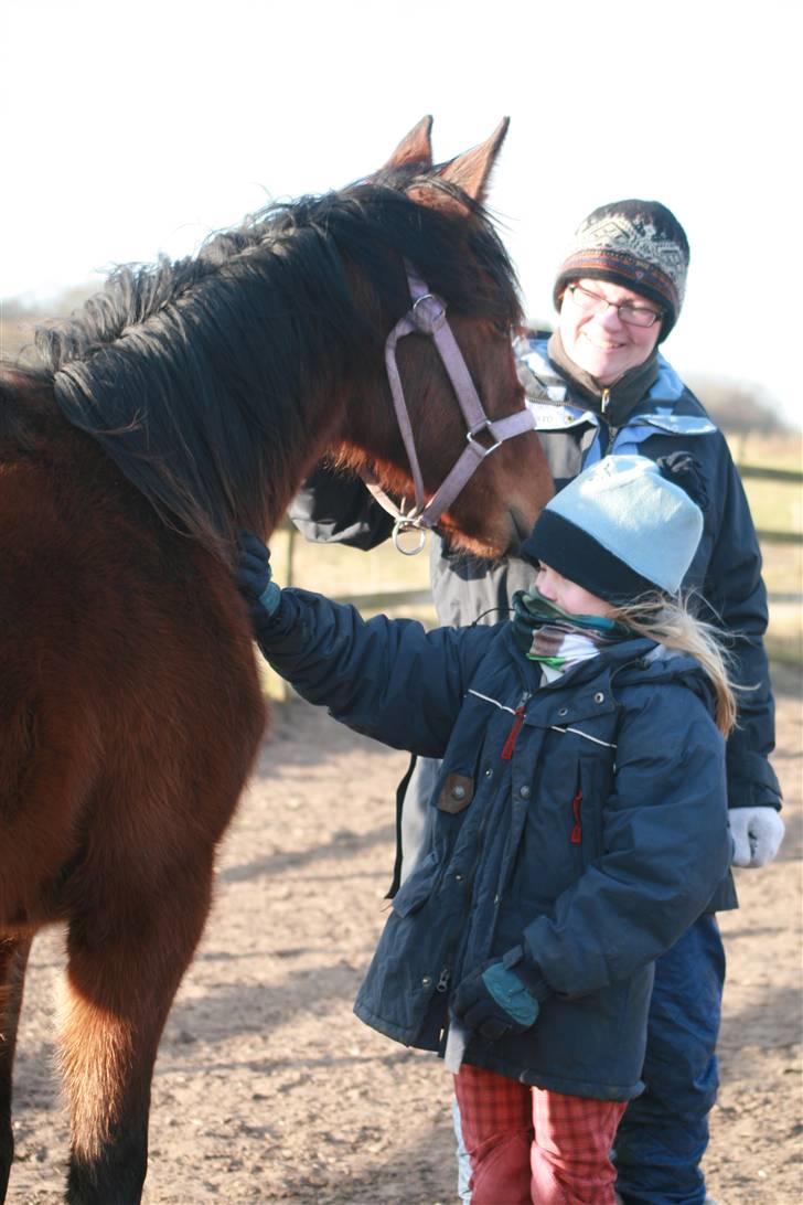 Traver Rhythm Of The Night - Lille er blevet stor og bor i børnehave - Rikke og Laura bliver glædeligt hilst på billede 10