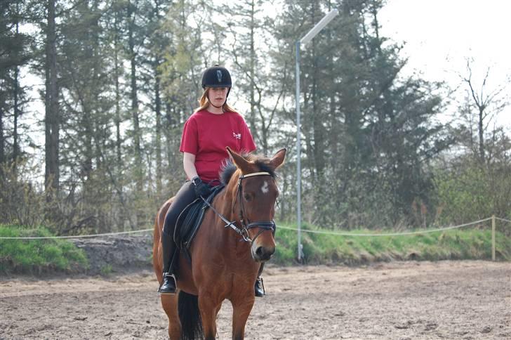 Traver Hera Waltz (SOLGT) - Hera du er altet vil aldrig glemme dig billede 1