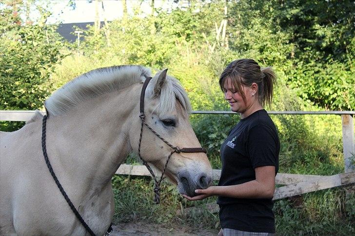 Fjordhest Pepsi Pony | Savnet - Hygge med prinsen.. :´) <3    Fotograf: Melissa billede 8