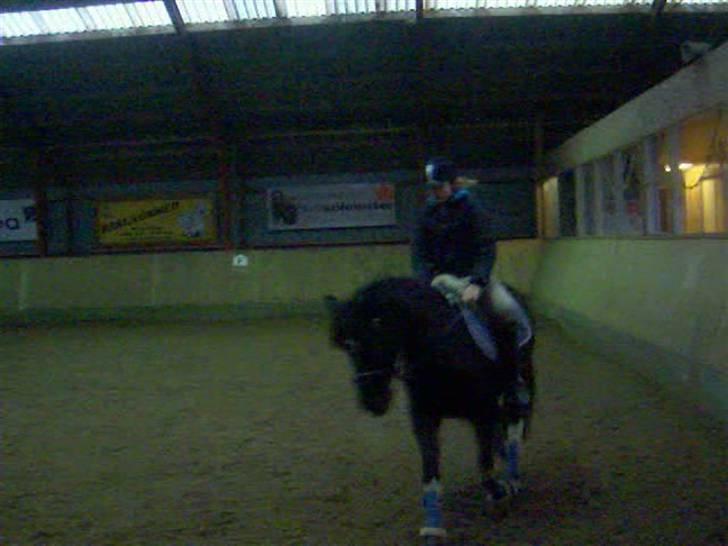 Pinto Nikita <3 - Træning,1 Jan 10 billede 19