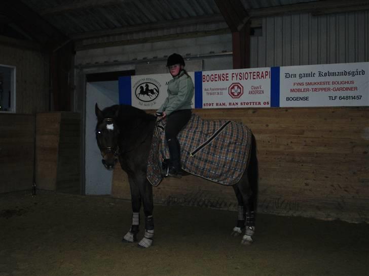 Dansk Varmblod Fairy tale SOLGT :( - røde kinder og slatten i ryggen så er ridenturen færdig :) vi er trætte :) billede 11