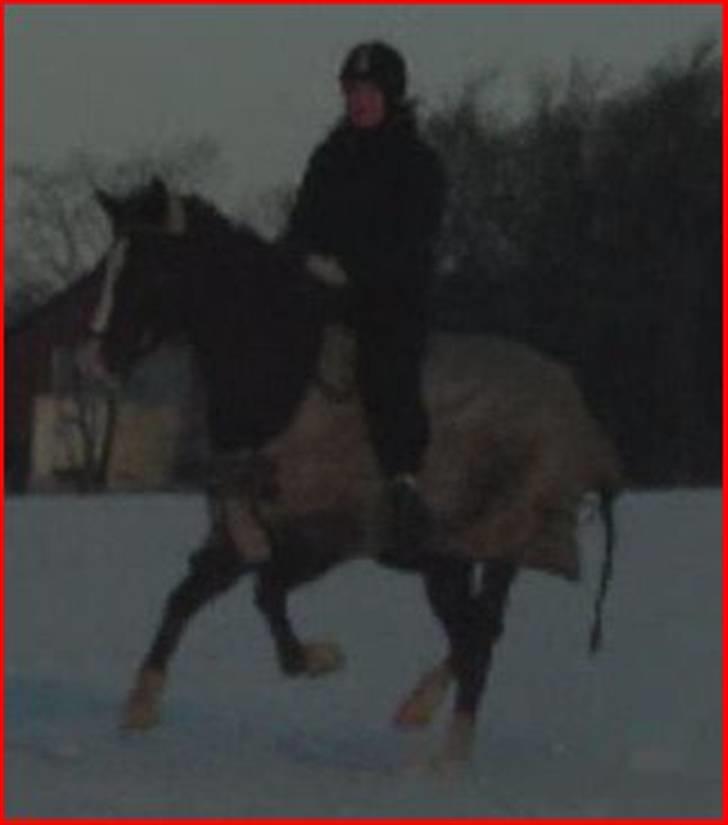 Sportsaraber (A) min smukke Joy  pynter på himmelen nu billede 6