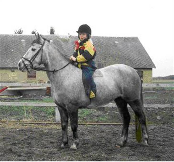 Anden særlig race Sammie * MIN FØRSTE HEST* - sammie og min søster billede 19