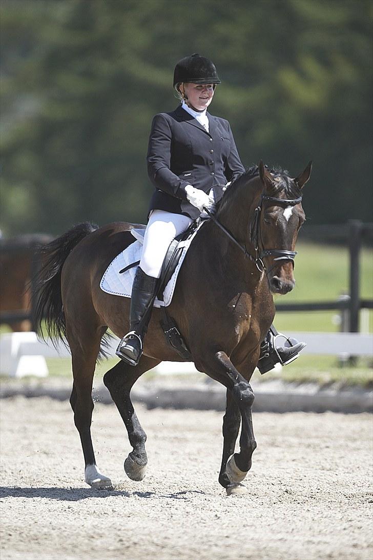 Dansk Varmblod Rubina Imhoff "Rubbies" - Distriktsmesterskaberne 2010 billede 2