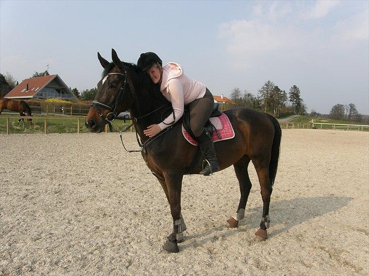 Dansk Varmblod Rubina Imhoff "Rubbies" billede 3