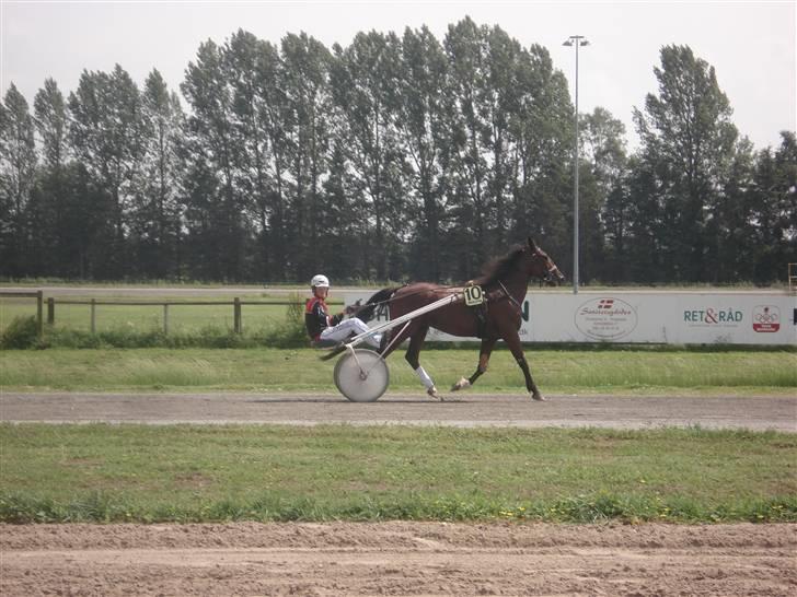 Traver hazel park (d) billede 9