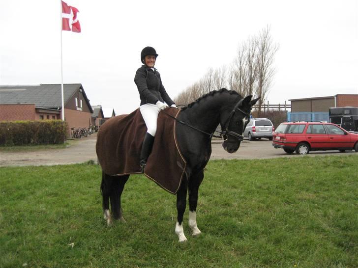 Hannoveraner Der MärchenPrinz SOLGT - Stævne i Tjæreborg 2007. Nr.1=:) billede 1