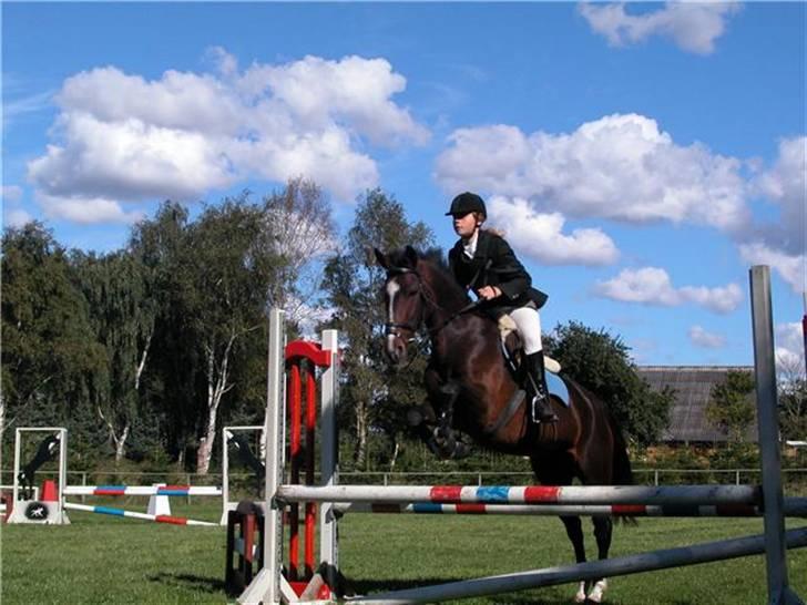 Hollandsk Sportspony Clio  - Springning:´) Gammelt!<3 billede 6