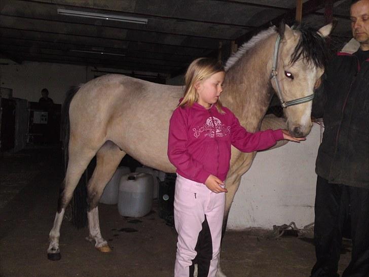 Anden særlig race Mister Surprice ( Solgt) - Mister Surprice og Emma Marie billede 2