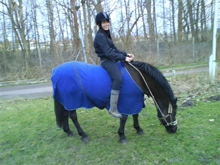 Anden særlig race Black Beauty  - Hyggedage, det er det eneste vi kan nu jo.  billede 8