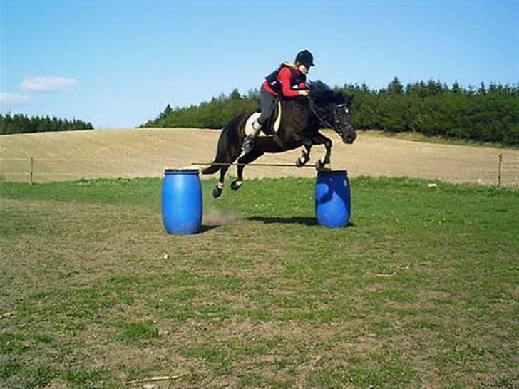 Anden særlig race Black Beauty  - mig og beauty, i sommers. billede 12