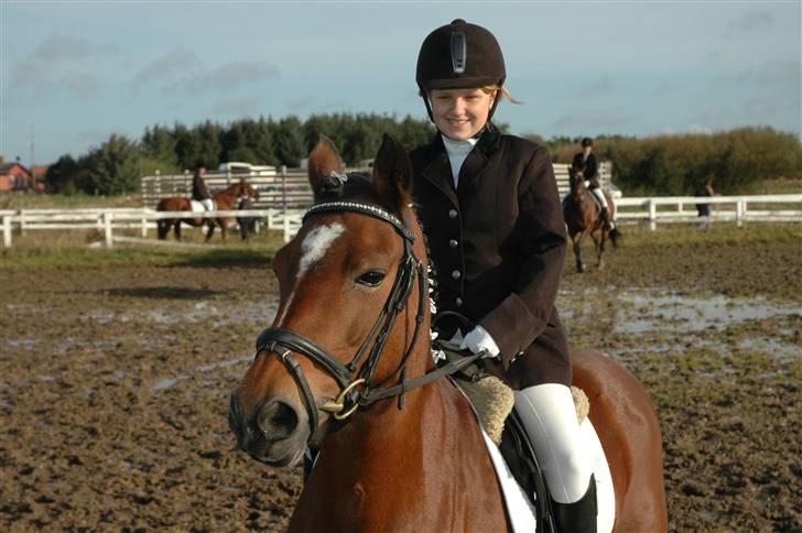 Anden særlig race Roxanne (solgt) billede 4