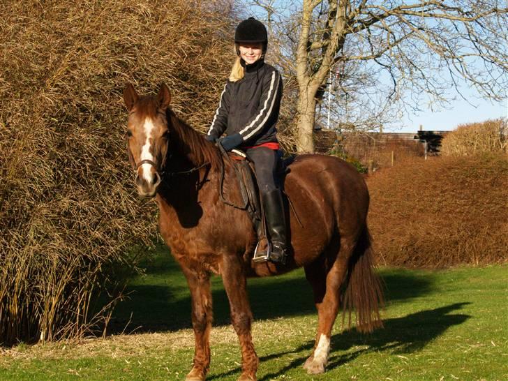 DSP Shirlind - R.I.P. - Mig og min pony-basse <´3 Miss you !! billede 2