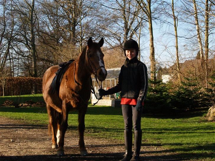 DSP Shirlind - R.I.P. - Min smukke elskede Poniii billede 5