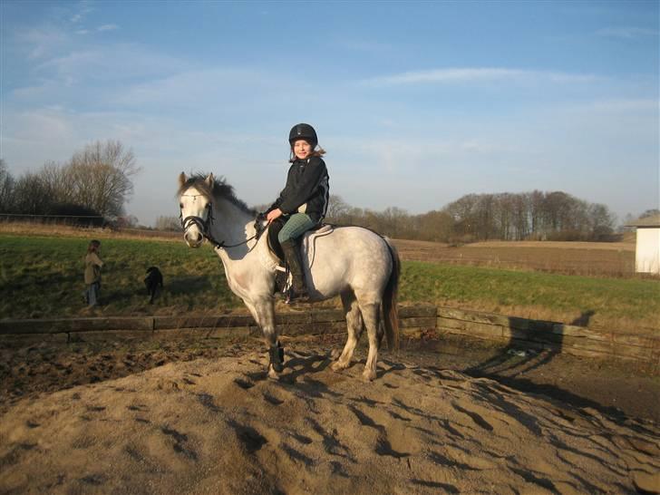 Welsh Pony (sec B) Gribsvads Nisa - nisa og mig <3 droning af skimlerne (kongen er også herinde:P)(spring sky) billede 8