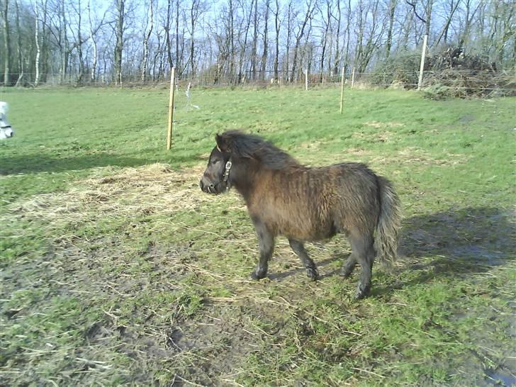 Anden særlig race Gucci - solgt  - Gucci på fold den første dag . Foto : Mig billede 3