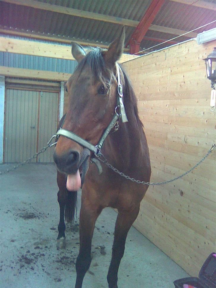 Traver Unna *Aflivet* :'( billede 2